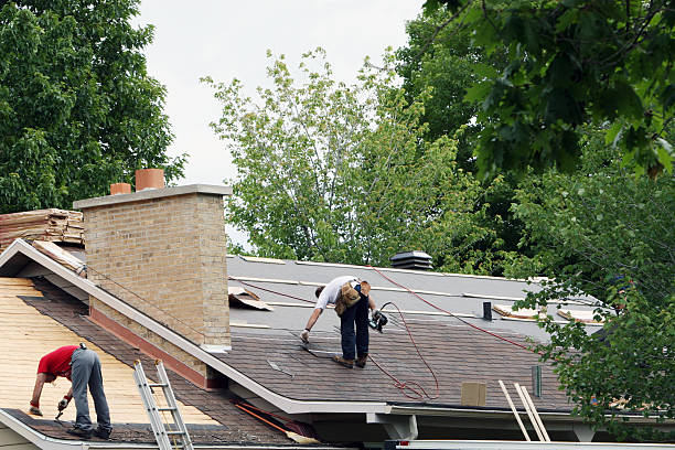 Roof Gutter Cleaning in Lennox, CA